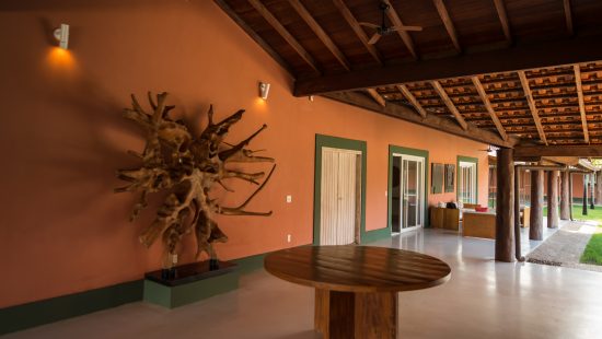 Casa do Proprietário (12)